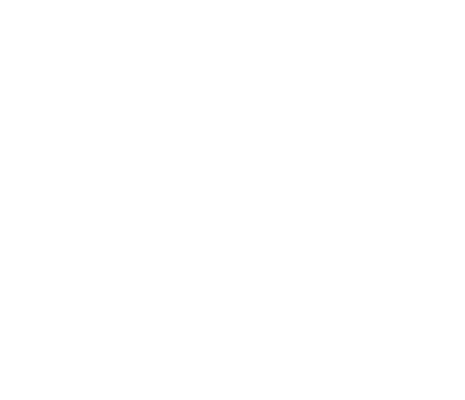 Online Lessons